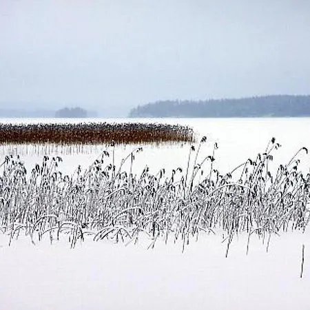 Divaanikivi By Interhome *