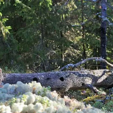 Hébergement de vacances Divaanikivi By Interhome Patiala