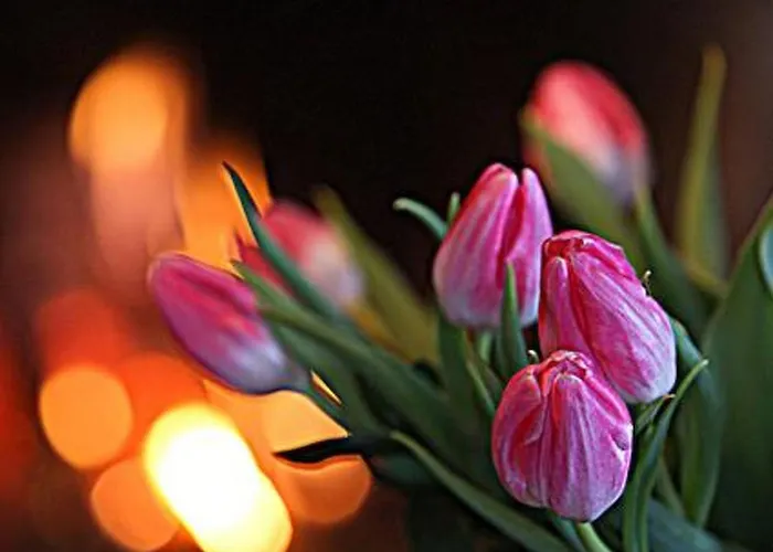 Divaanikivi By Interhome