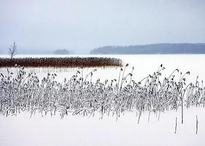 Tatil Evi Divaanikivi By Interhome Patiala